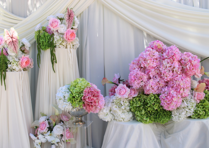 Hire Packages